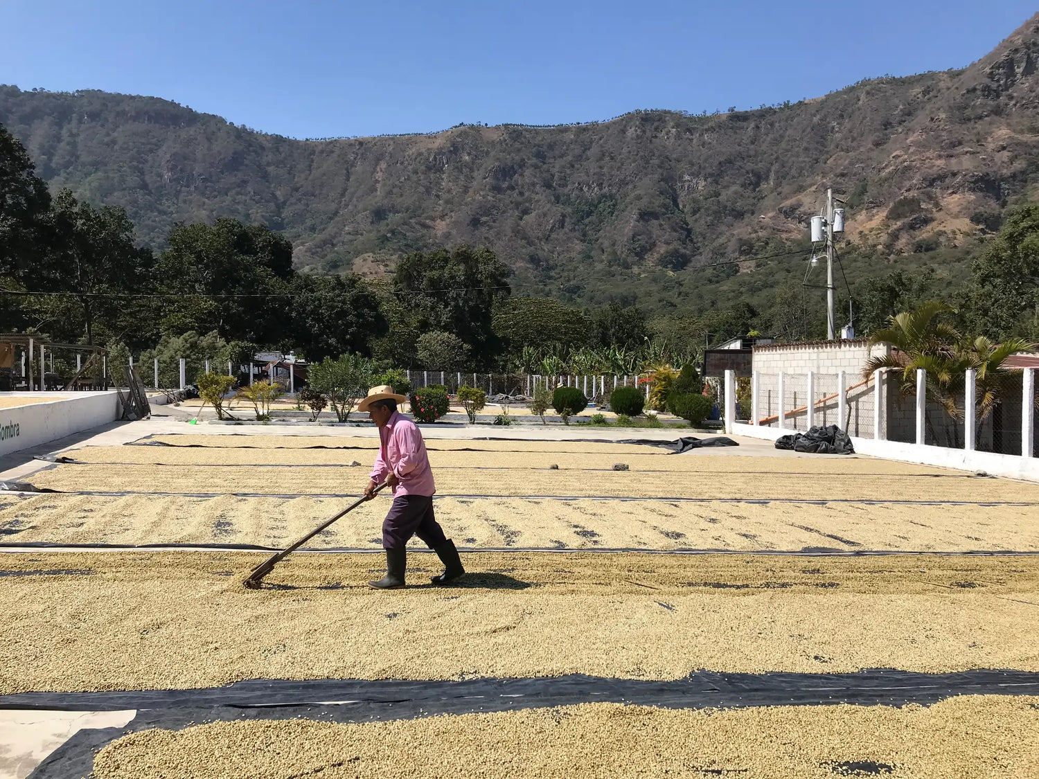 Die Kaffeeanbauländer - eine bewegende Welt