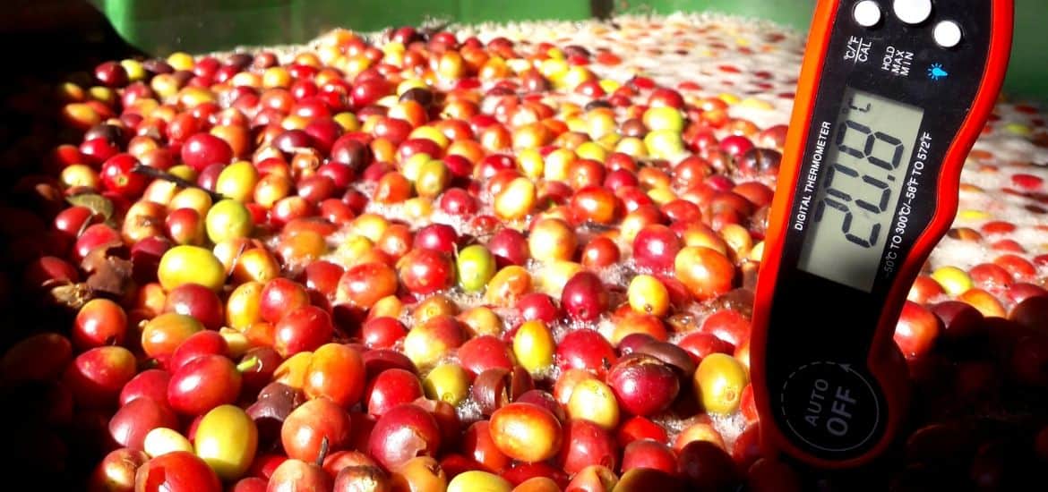 5 Minuten Wissenschaft: die Kaffee-Extraktion