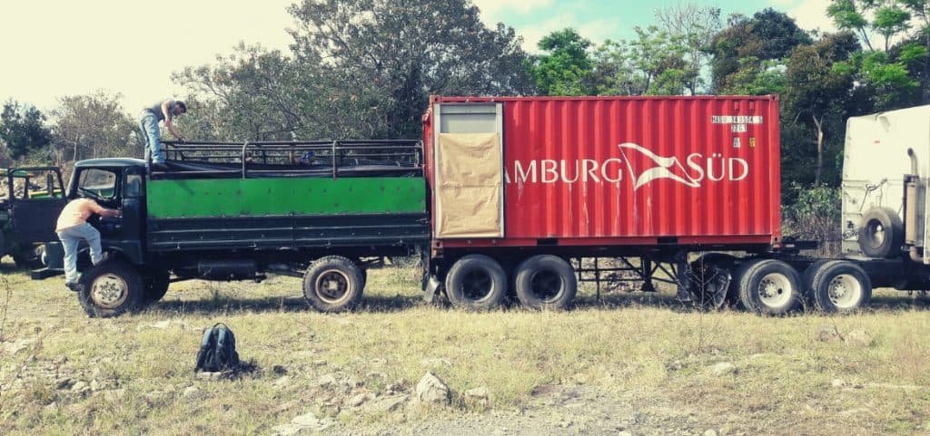 Ausgehöhlter Fairtrade-Preis – Combos und die Macht des Marktes