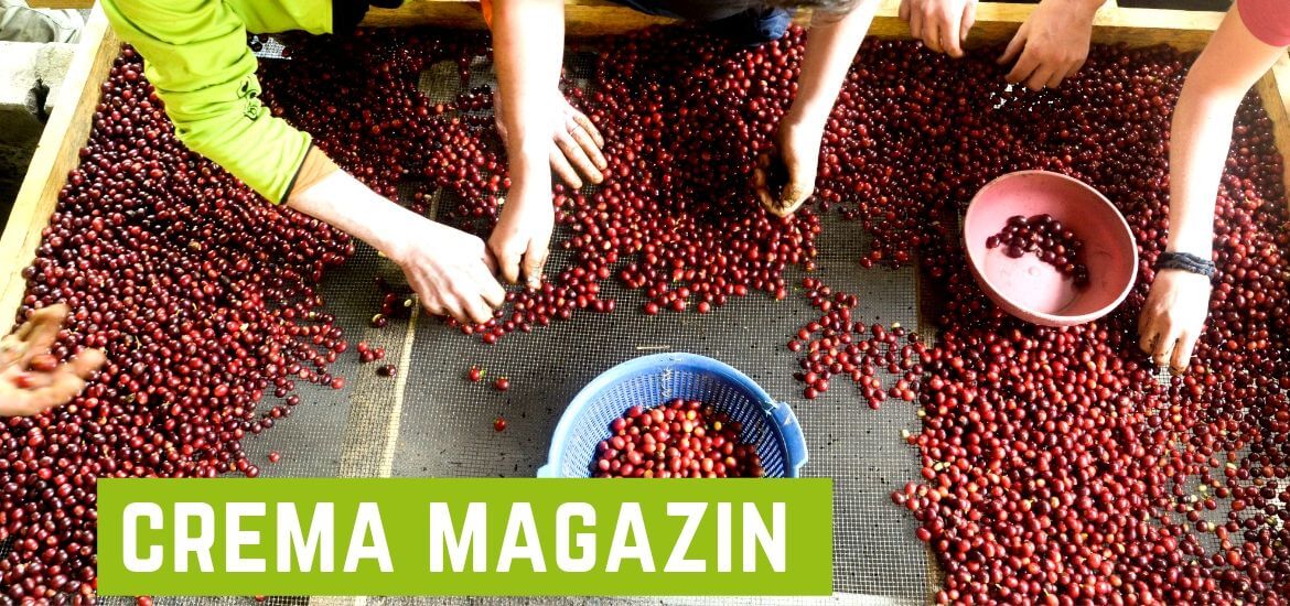 „Einfach machen“ – Das Crema-Magazin berichtet über die Finca Santa Rita