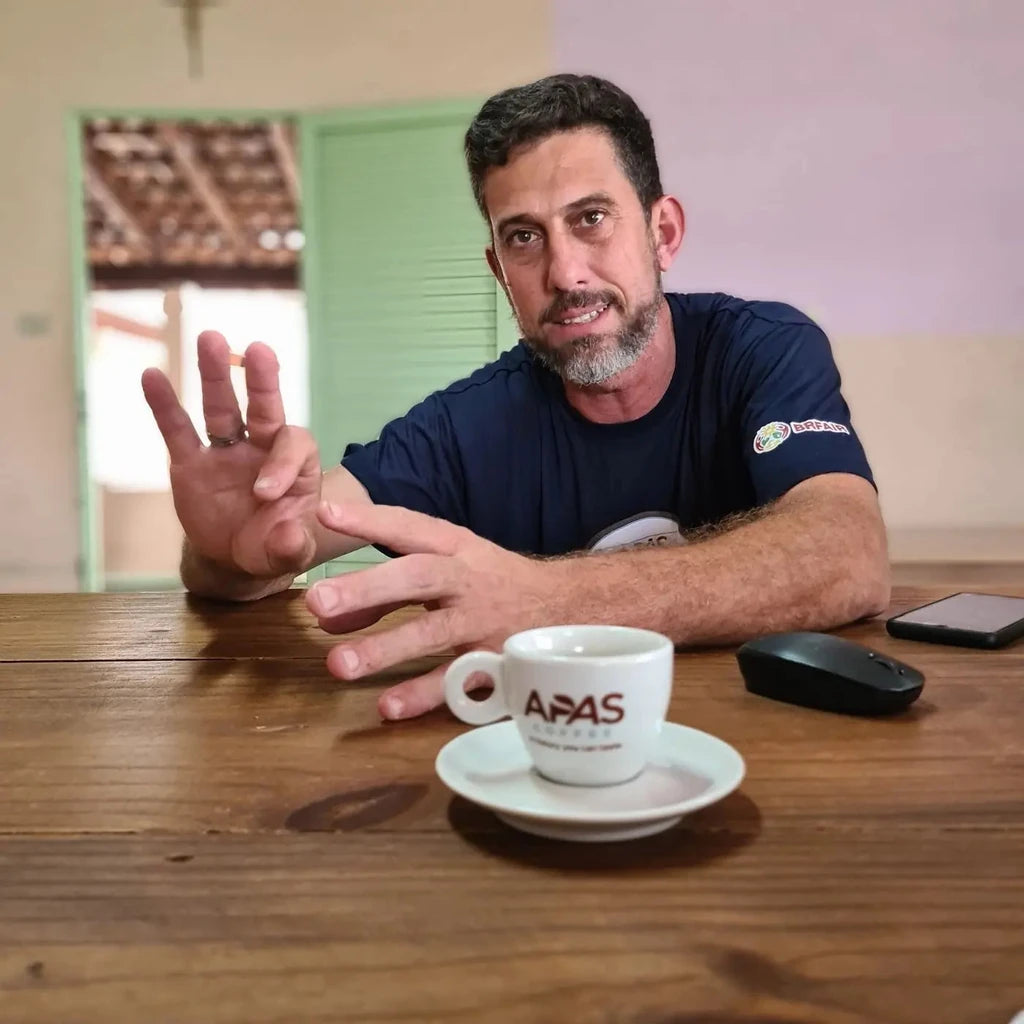 Apas Decaf Alessandro