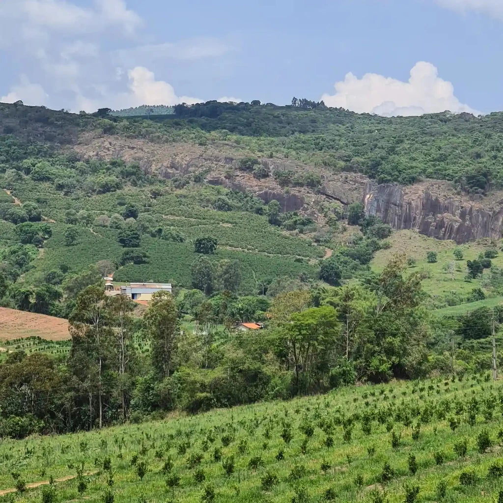 Apas Farm