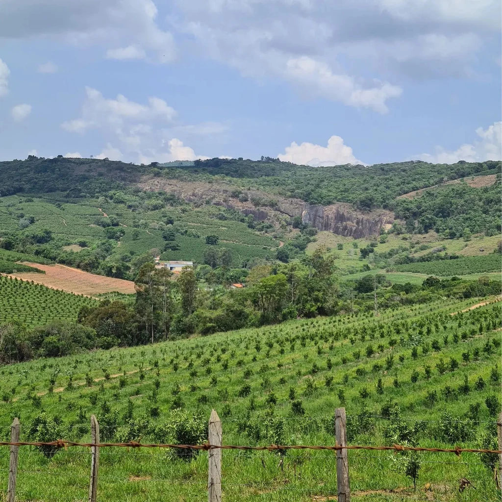 apas farm