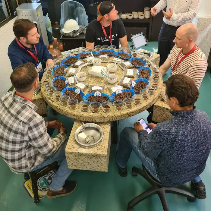 Cupping_bei_Descamex_1
