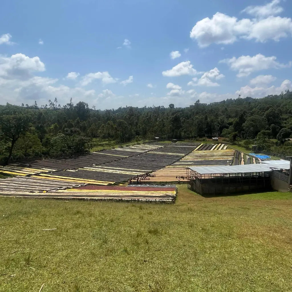 Hamasho Washing Station