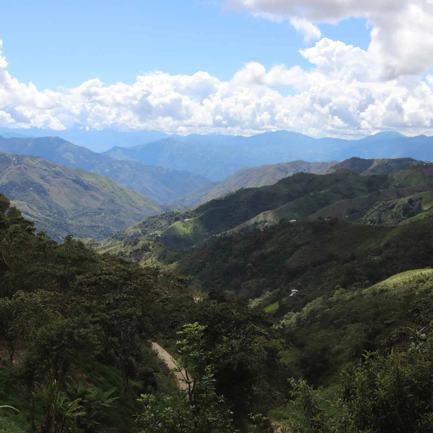Rioja, Filter aus Peru