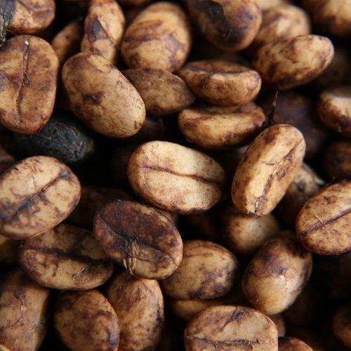 Don Reginaldo, filter coffee