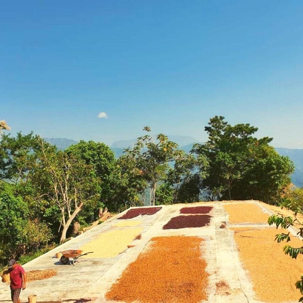 Sofía y Pancho, Mexico, filter coffee