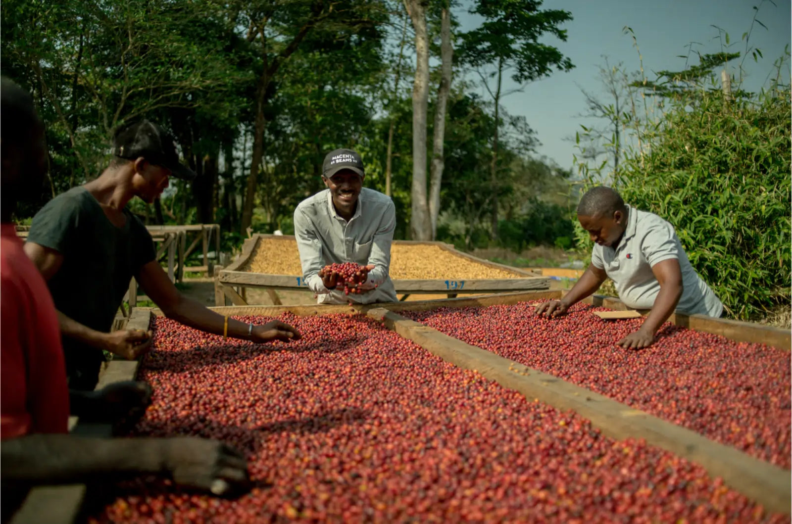 Mamy: Robusta-Espresso und Kaffee-Pionier aus Guinea
