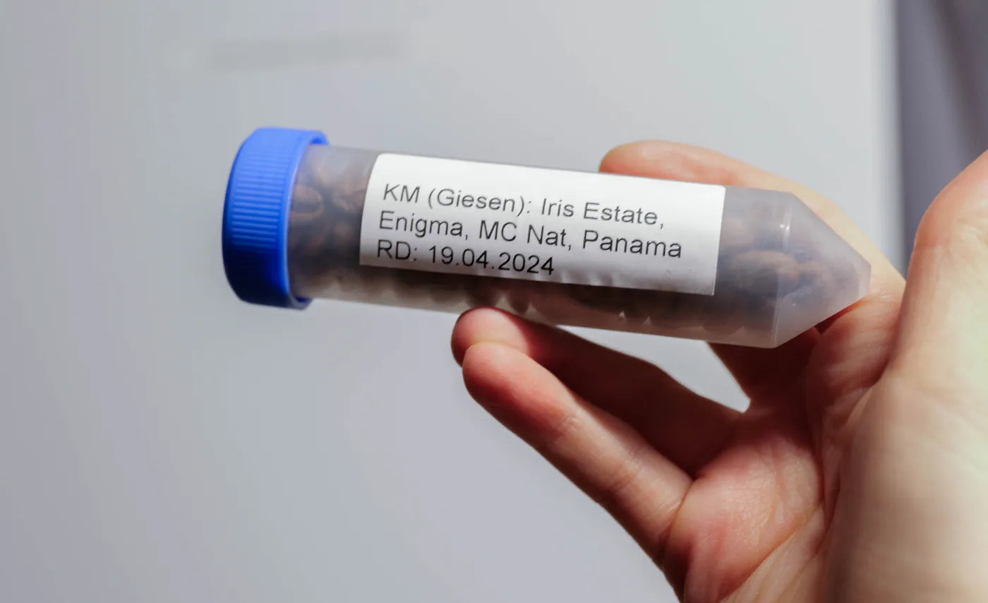 Einfrieren von Kaffeebohnen – Sinnvoll oder nicht?