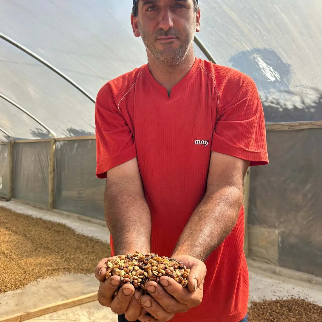 Santo, filter coffee from Brazil