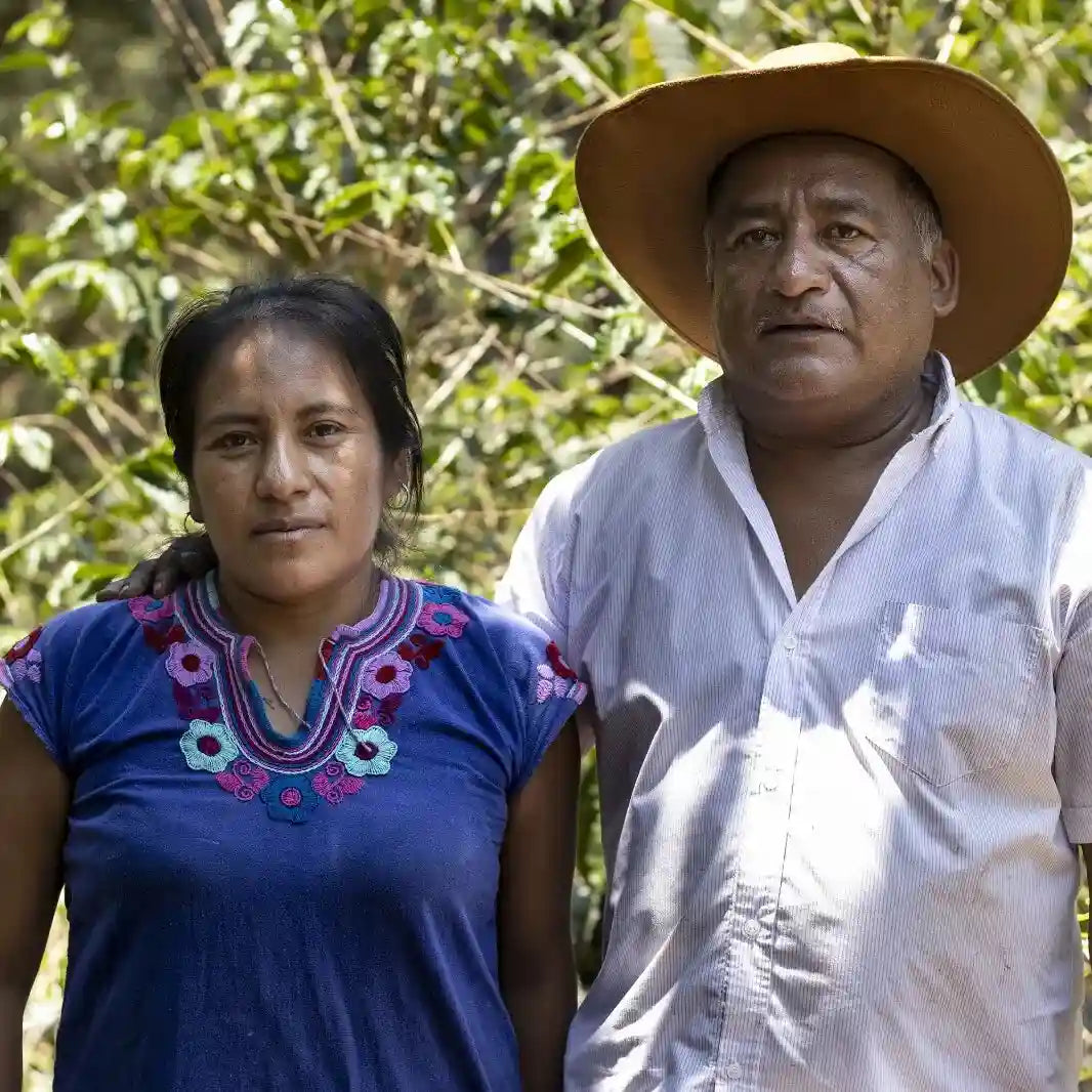 Carranza, filter coffee from Mexico