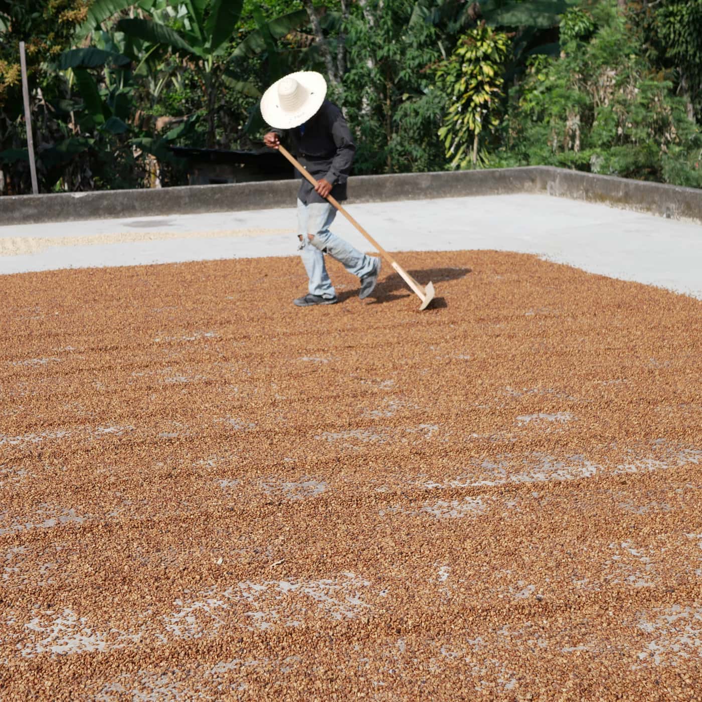 Napo, espresso from Honduras