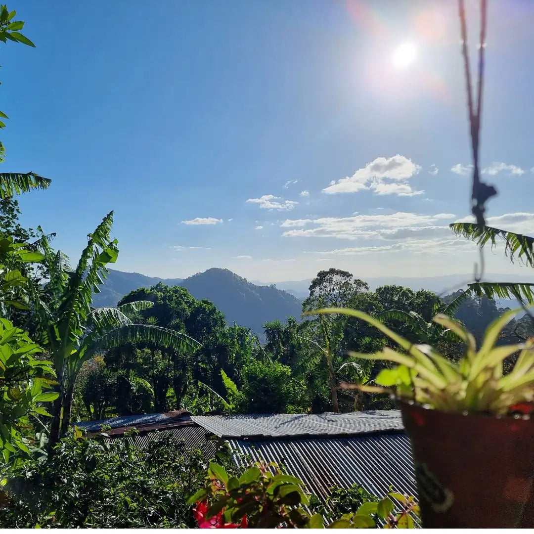 Doña Maria, filter coffee from Nicaragua 