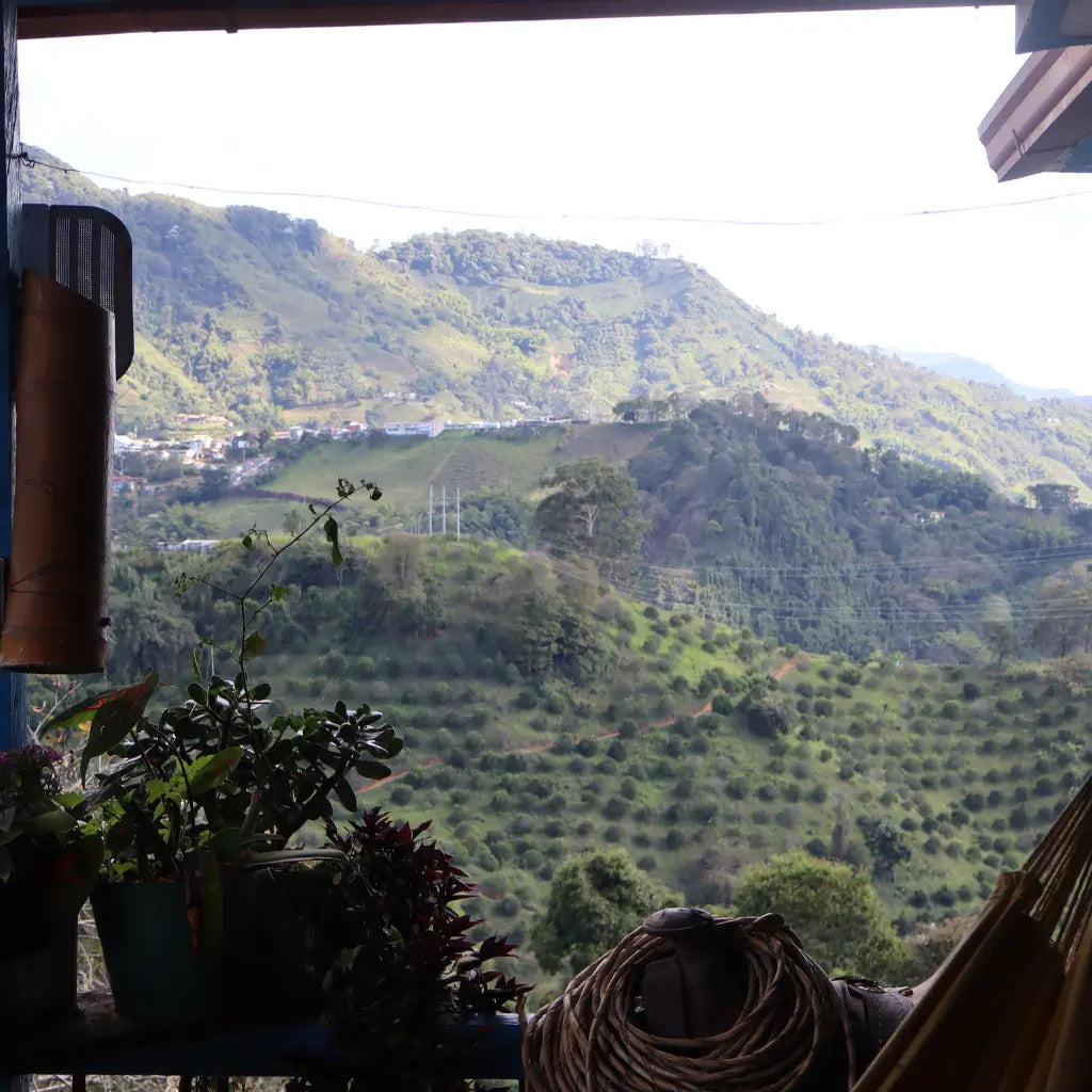 El Silencio - Caffè filtrato dalla Colombia