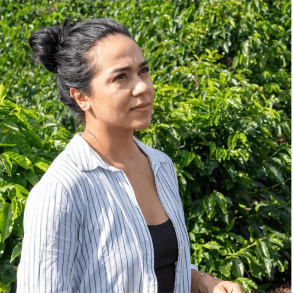 El Silencio - Caffè filtrato dalla Colombia