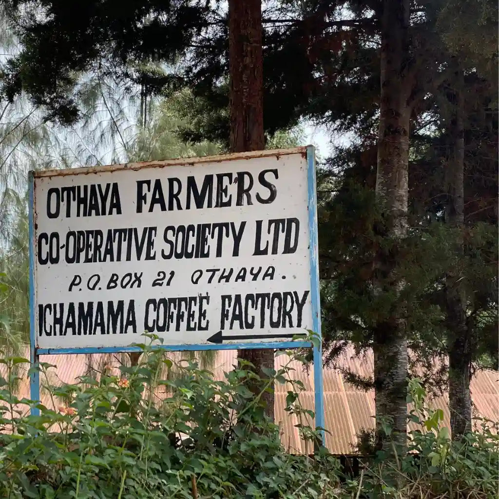 Ichamama, Filterkaffee aus Kenia