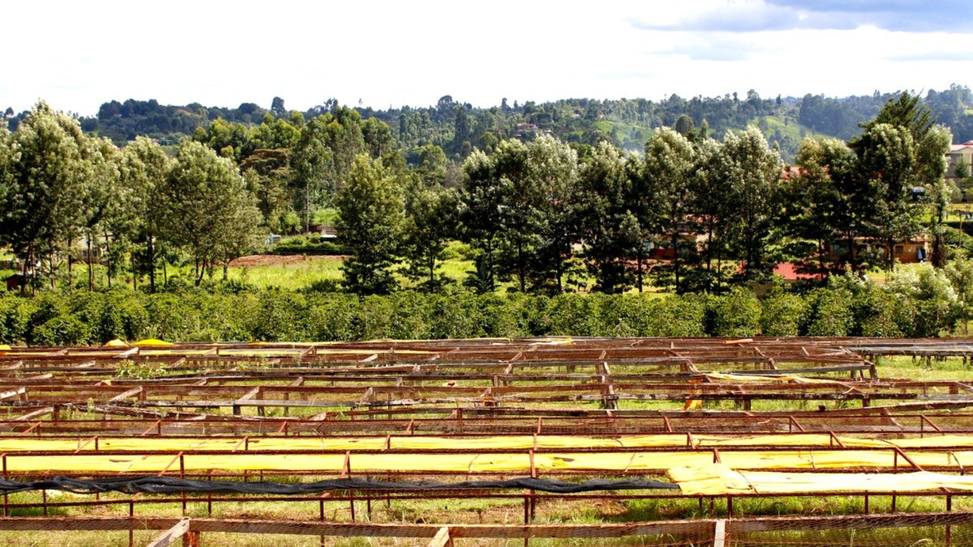 Ichamama Dry Bed