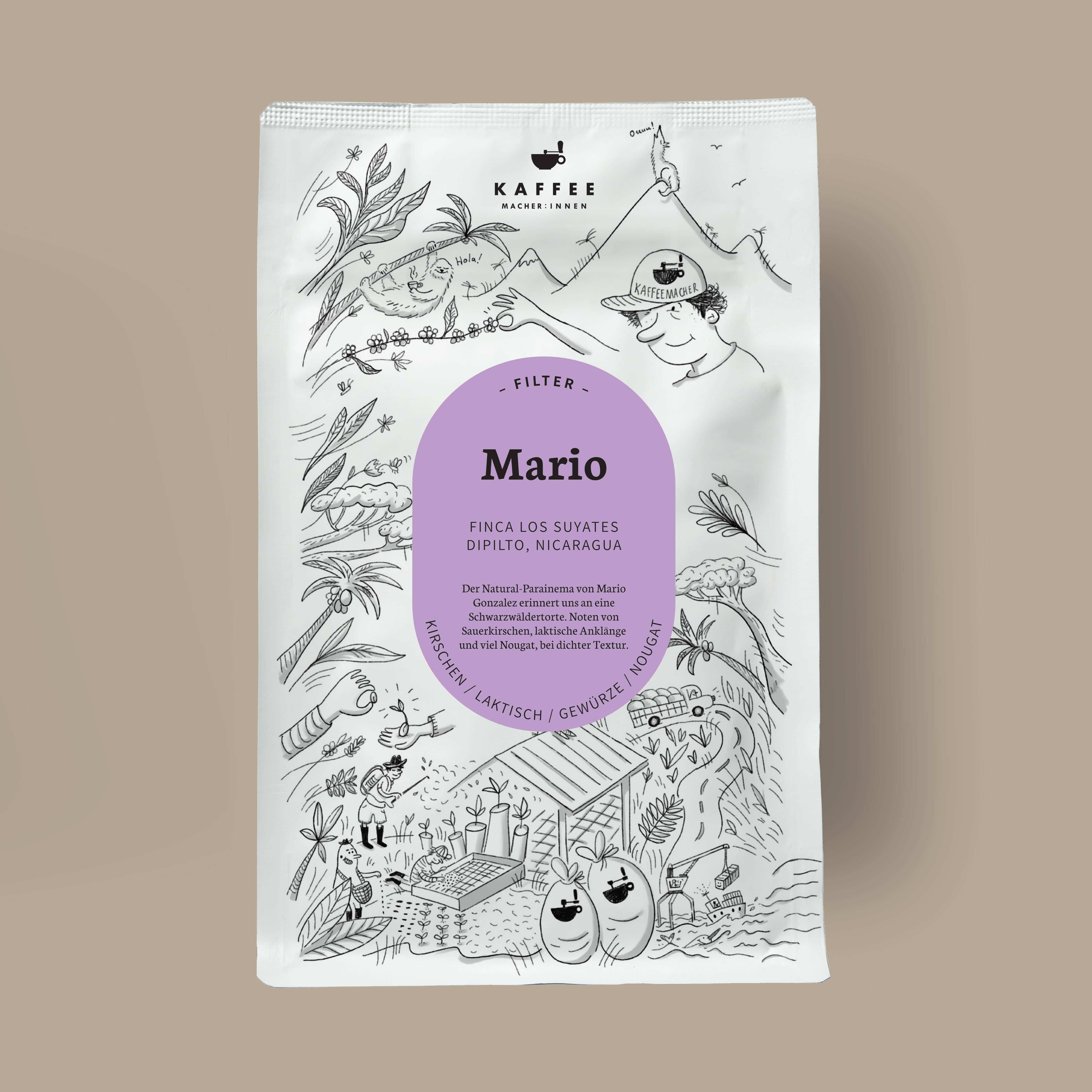 Mario, filter coffee from Nicaragua