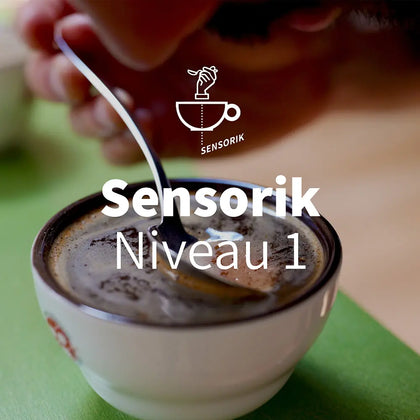 Sensorik Kurs Niveau 1 - Einführung