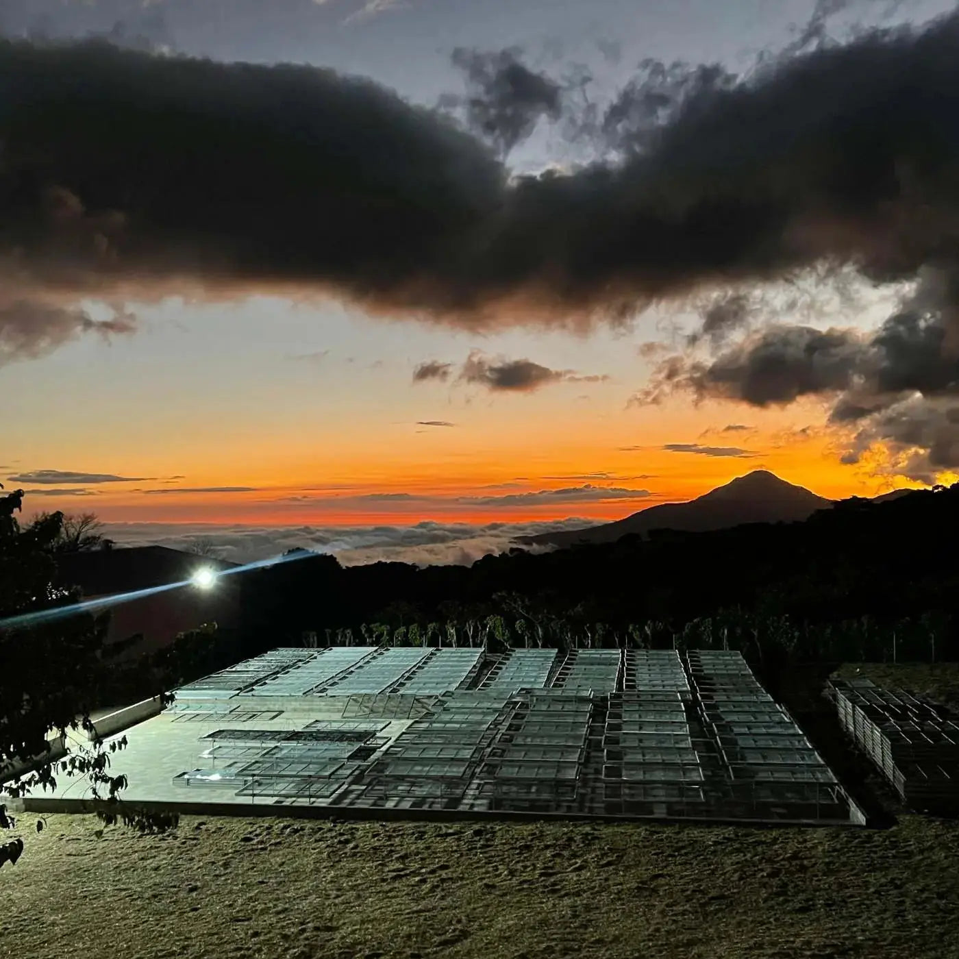 Los Naranjos - Filterkaffee aus El Salvador
