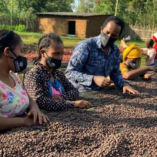 Ashenafi, filter coffee