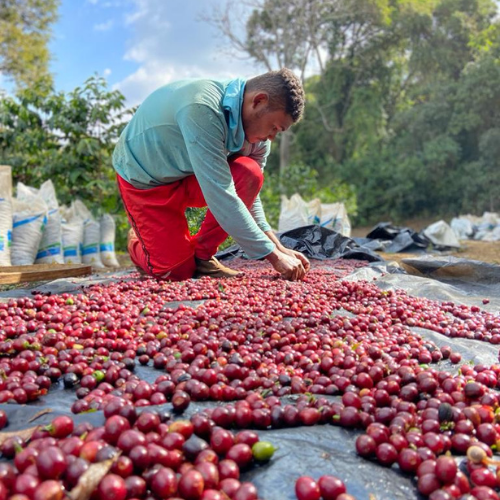 Boa Vista, espresso
