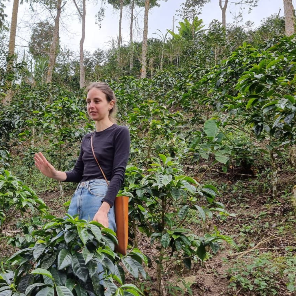 Chirinos, espresso from Peru