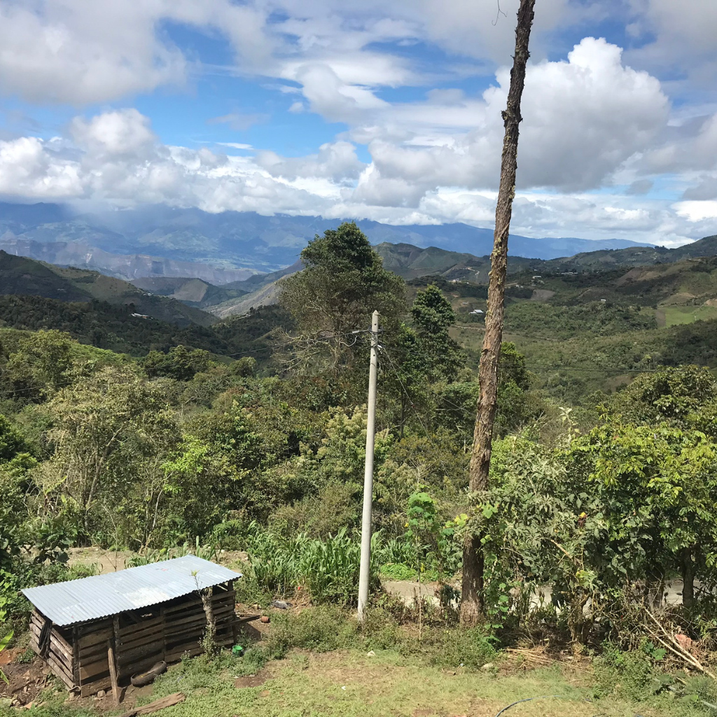 Chirinos, espresso from Peru