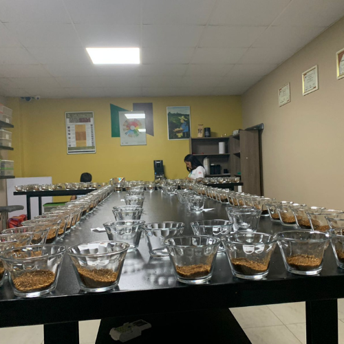 Cerro Azul, filter coffee
