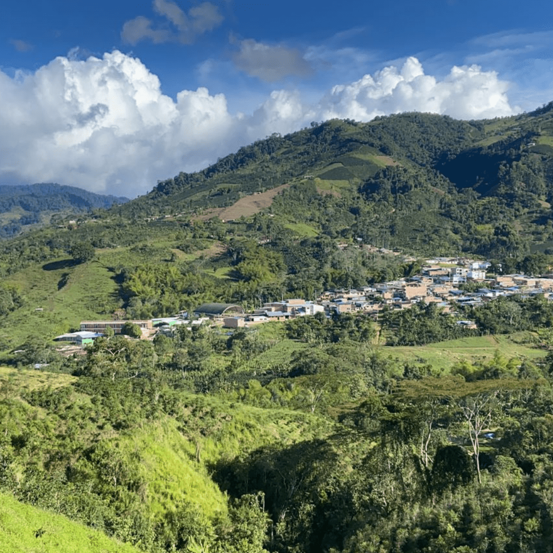 La Esperanza, filter coffee