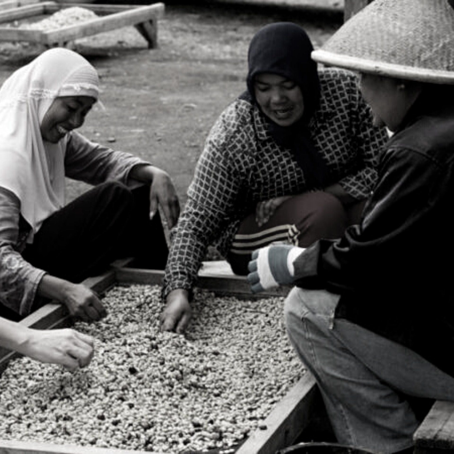 Kerinci, filter coffee