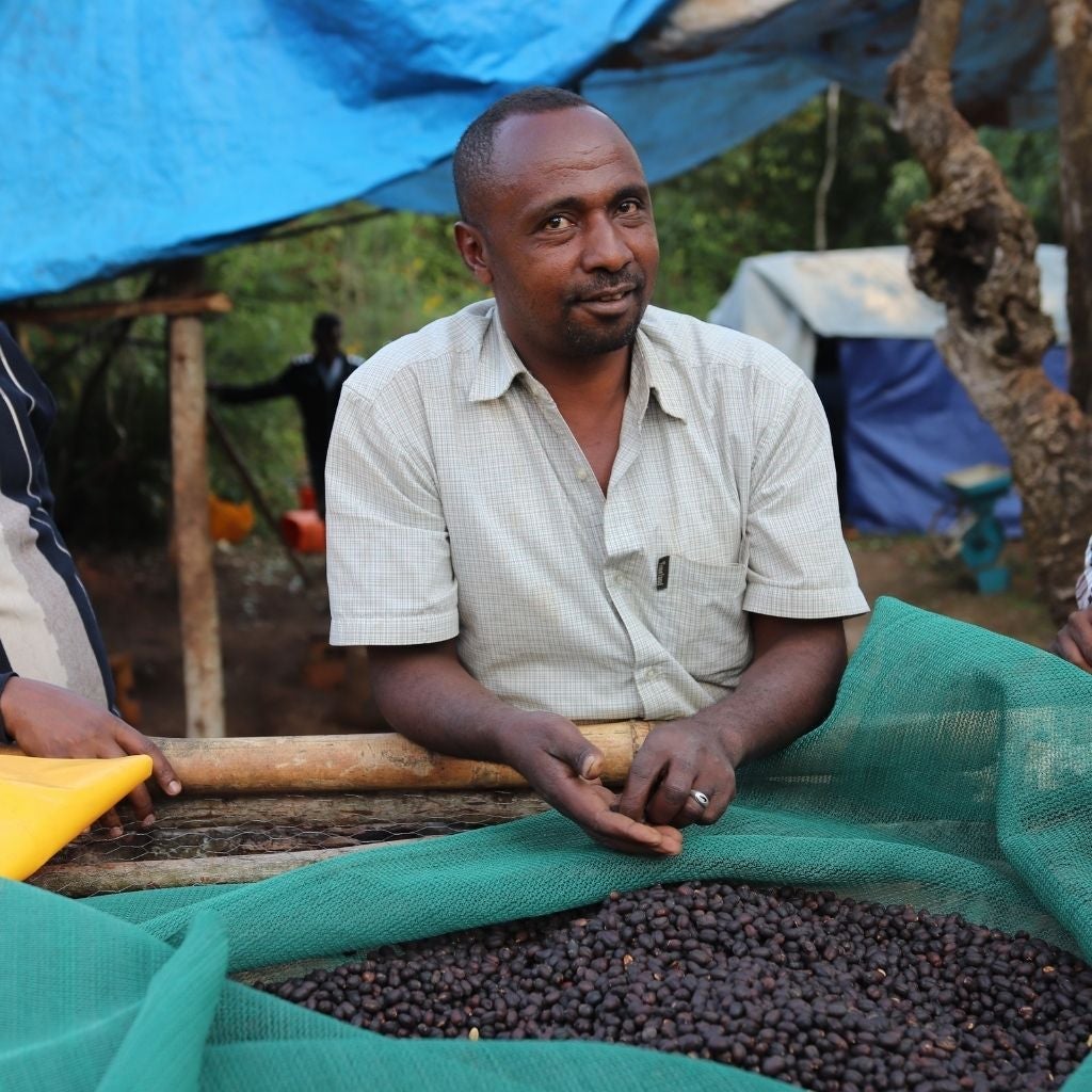 Kabira, filter coffee
