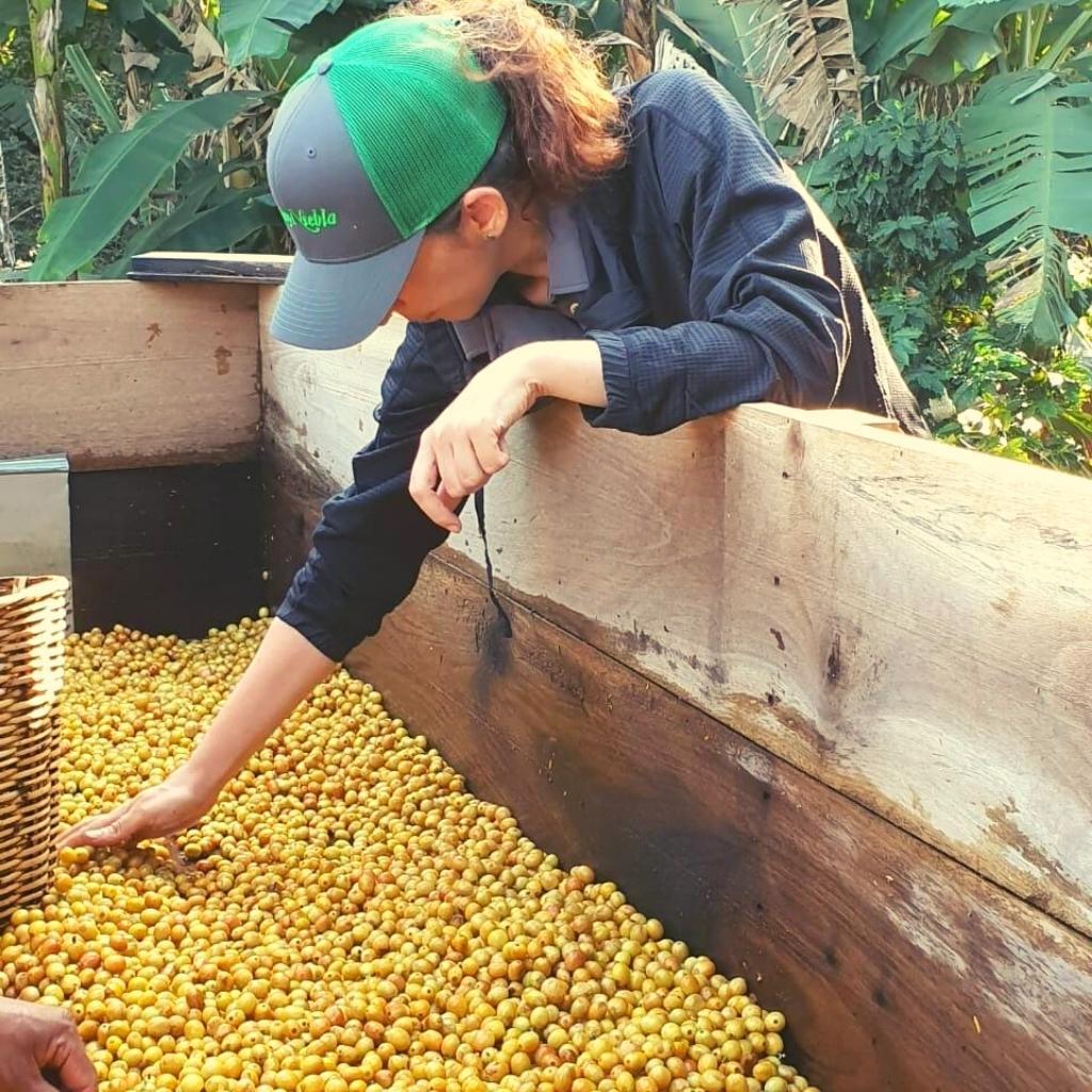 Sofía y Pancho, Mexico, filter coffee