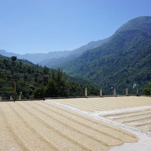 Nelson Jiménez, filter coffee from Mexico
